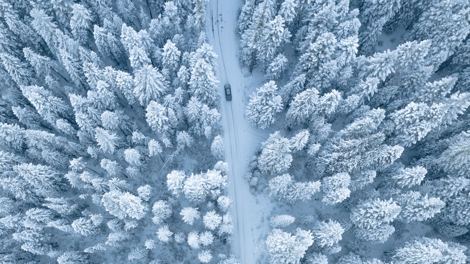 Illustration of a Tesla driving on a snowy road with the driver and passengers inside